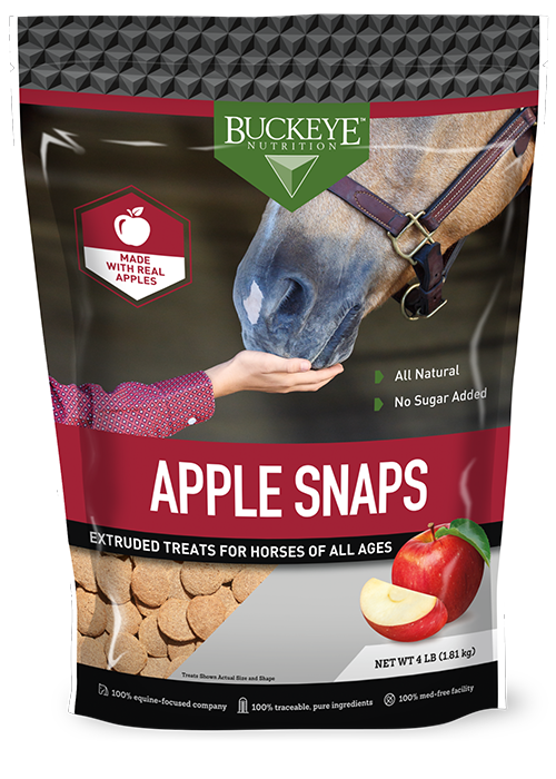 All Natural No Sugar Added Apple Snap Treats Canada package