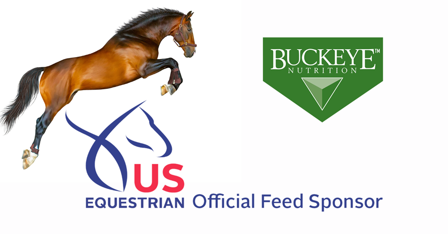 US Equestrian logo and Buckeye Logo